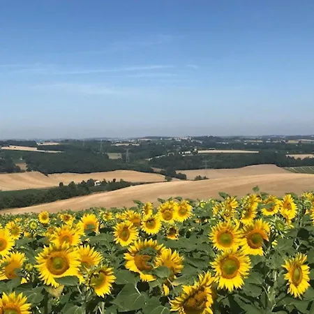 Charmante A Avec Piscine Privee 别墅 Dunes